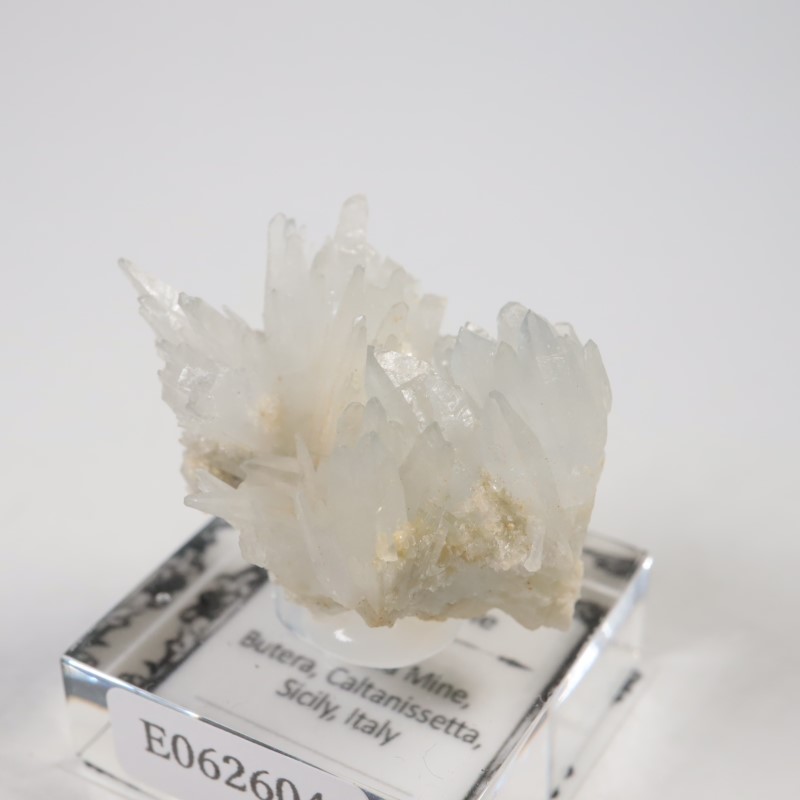 �����ꥢ�������쥹�ƥ���