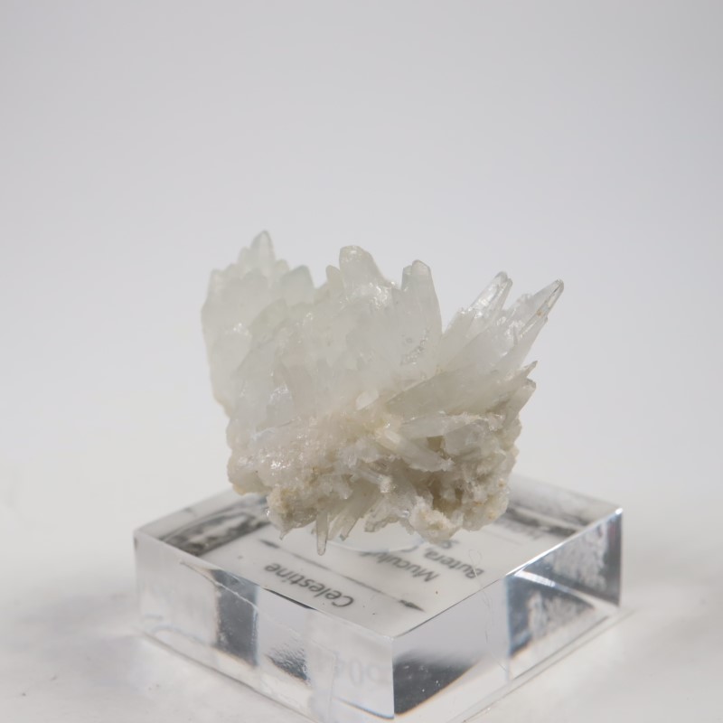 �����ꥢ�������쥹�ƥ���