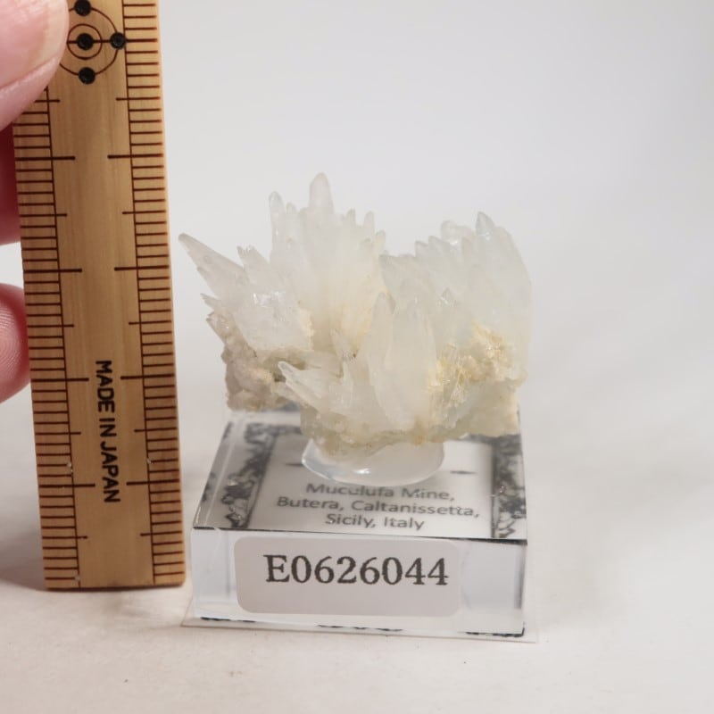 �����ꥢ�������쥹�ƥ���