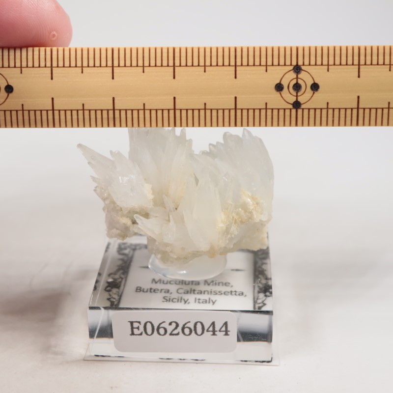 �����ꥢ�������쥹�ƥ���