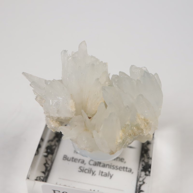 �����ꥢ�������쥹�ƥ���