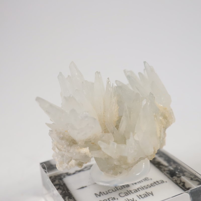 �����ꥢ�������쥹�ƥ���