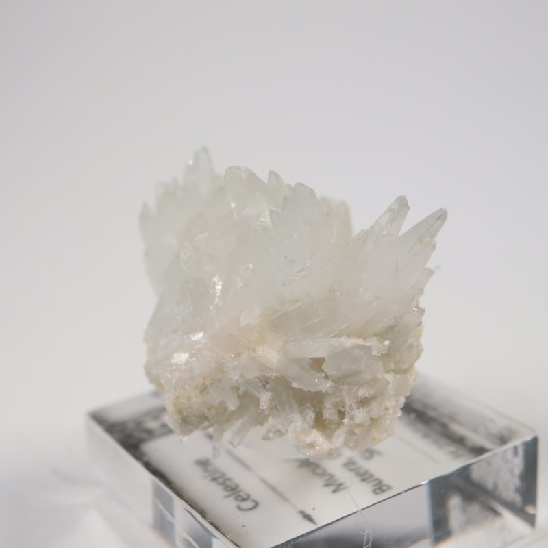 �����ꥢ�������쥹�ƥ���