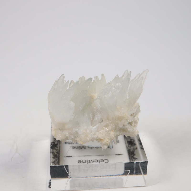 �����ꥢ�������쥹�ƥ���