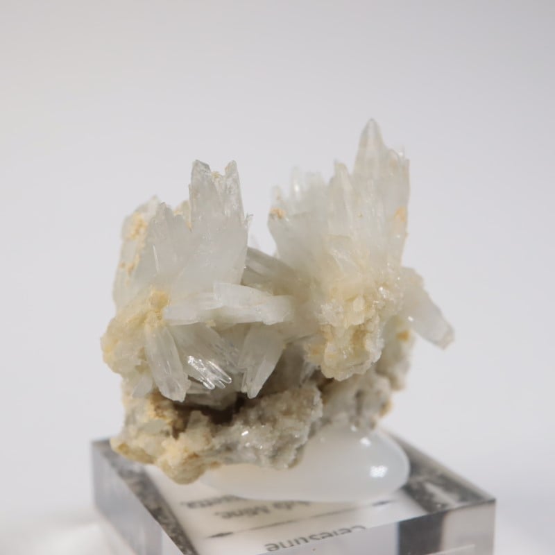 �����ꥢ�� ���쥹�ƥ���