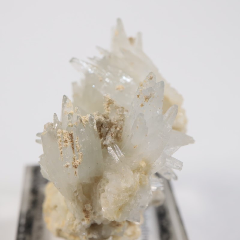 �����ꥢ�� ���쥹�ƥ���