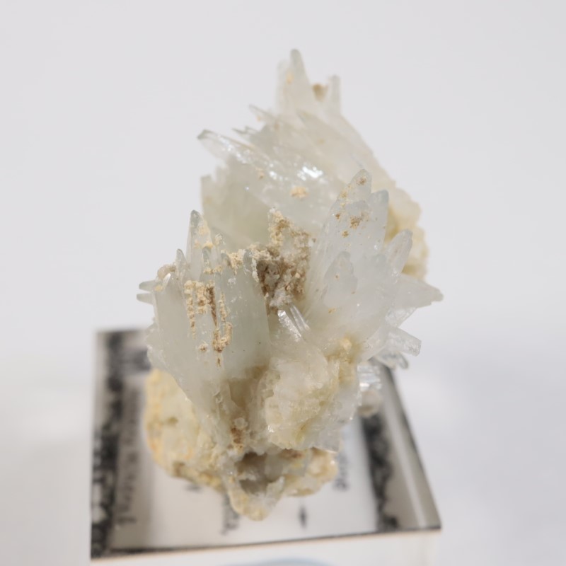 �����ꥢ�� ���쥹�ƥ���