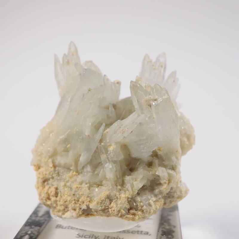 �����ꥢ�� ���쥹�ƥ���