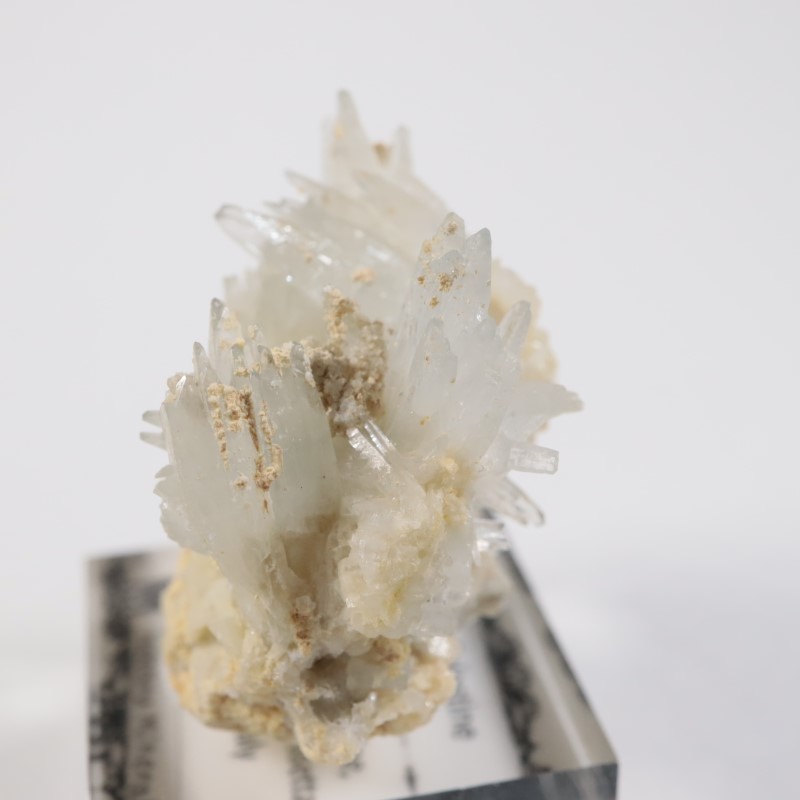 �����ꥢ�� ���쥹�ƥ���