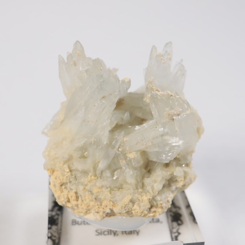 �����ꥢ�� ���쥹�ƥ���