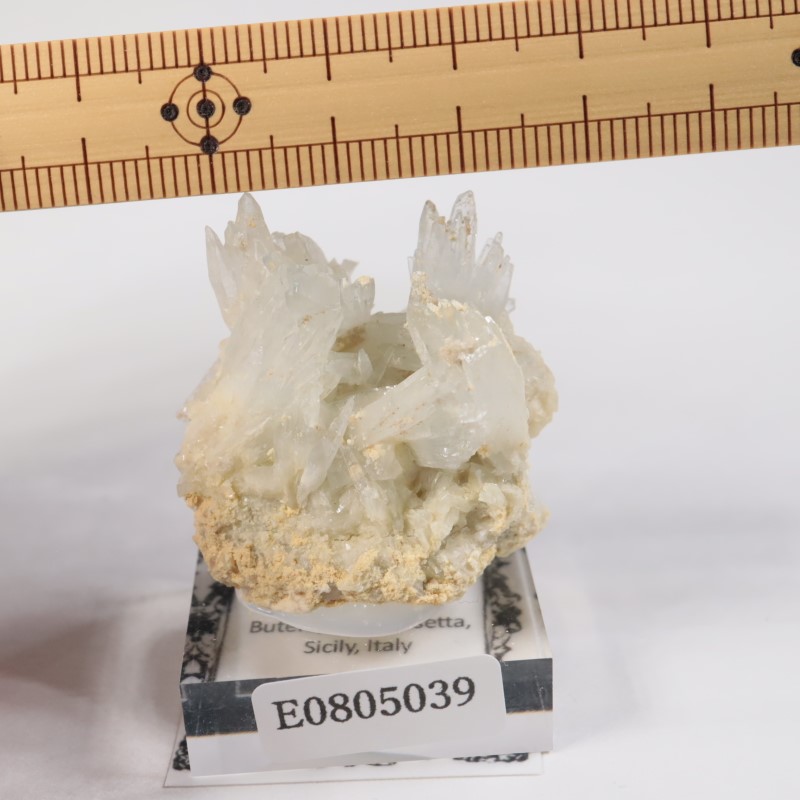 �����ꥢ�� ���쥹�ƥ���