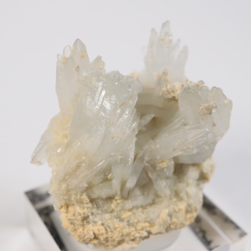 �����ꥢ�� ���쥹�ƥ���