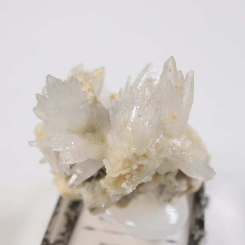 �����ꥢ�� ���쥹�ƥ���