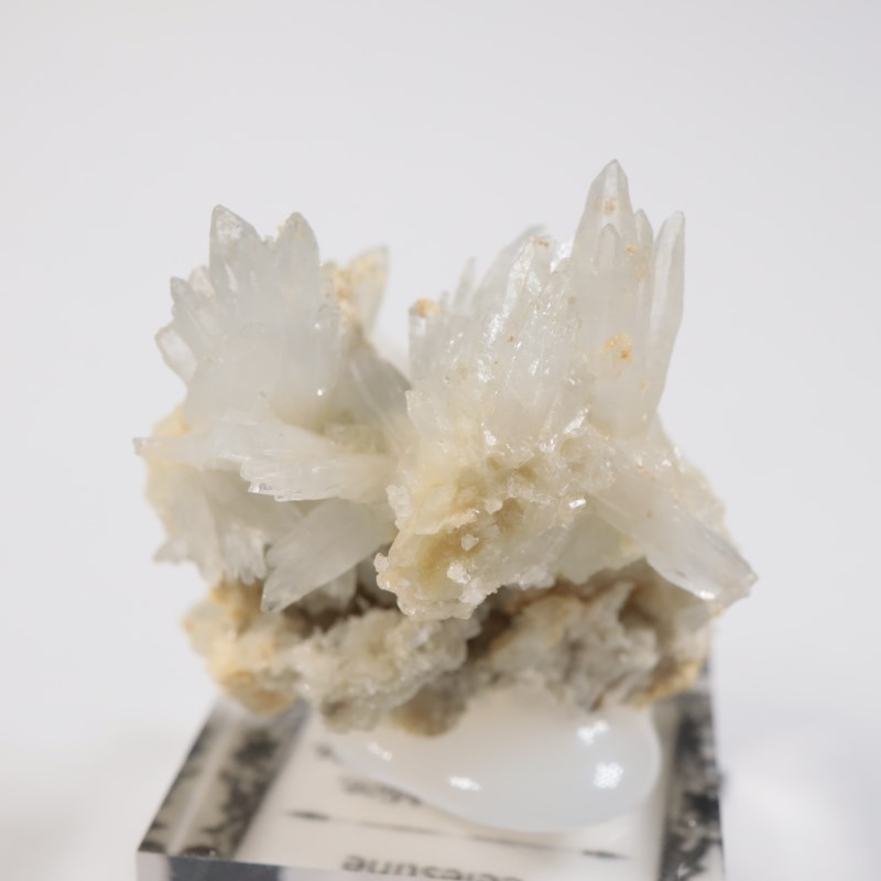 �����ꥢ�� ���쥹�ƥ���