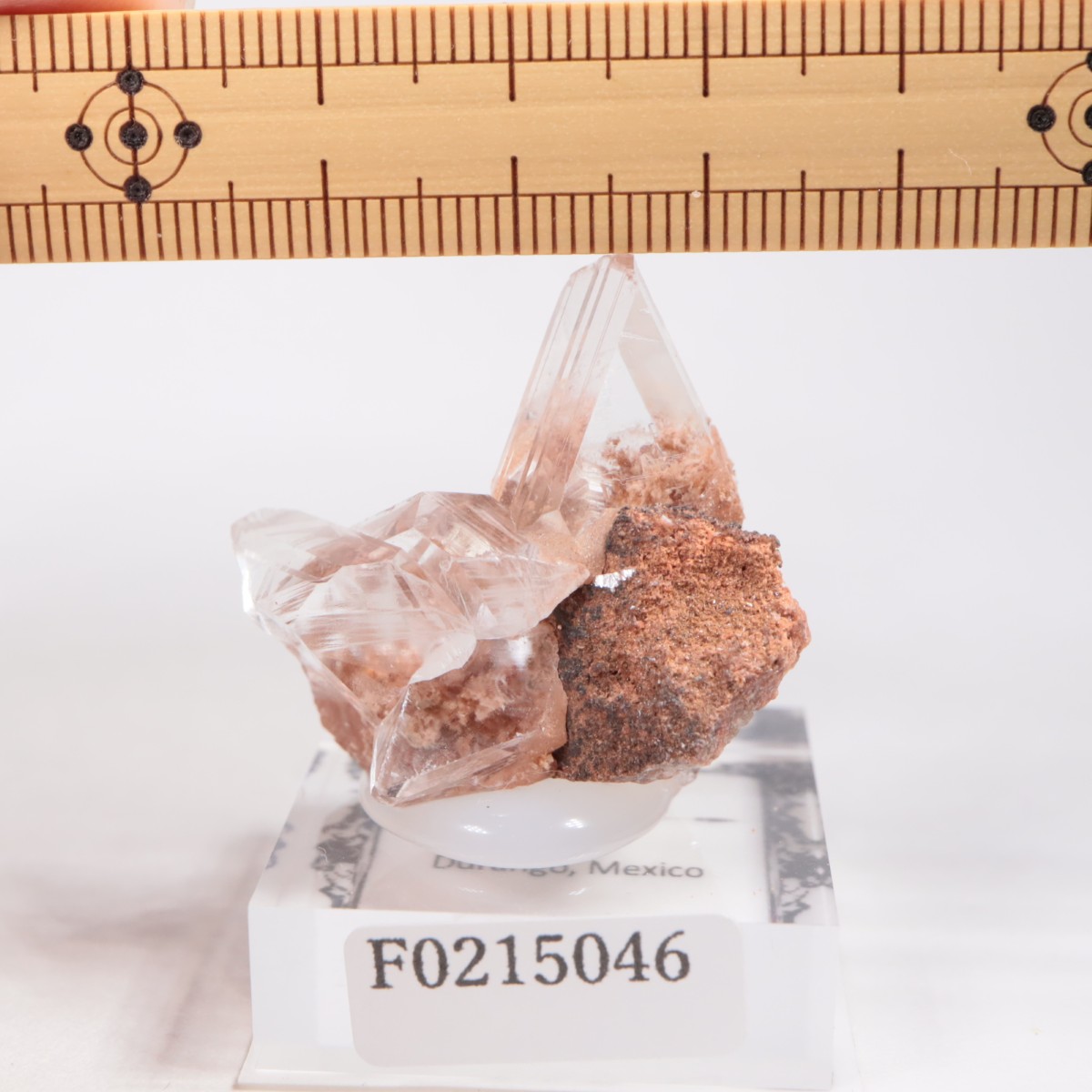 �ᥭ������ ����ʥ���