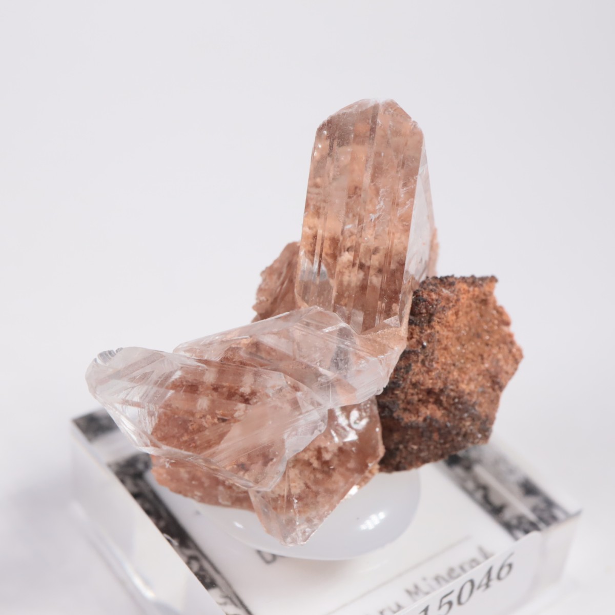 �ᥭ������ ����ʥ���