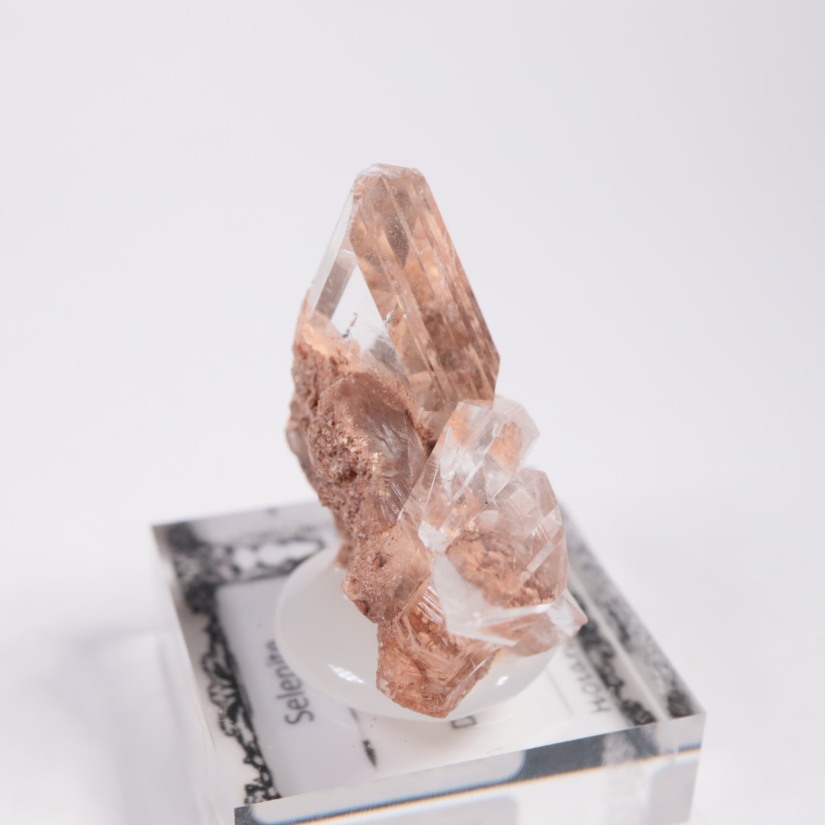 �ᥭ������ ����ʥ���