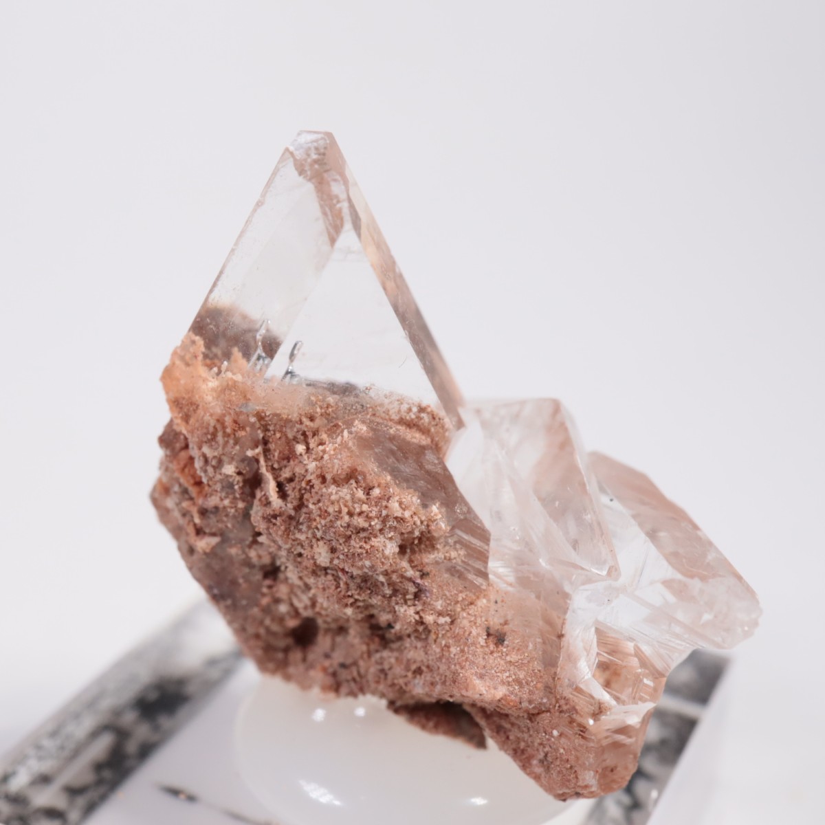 �ᥭ������ ����ʥ���