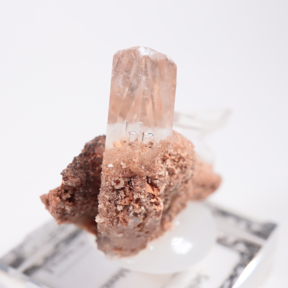 �ᥭ������ ����ʥ���