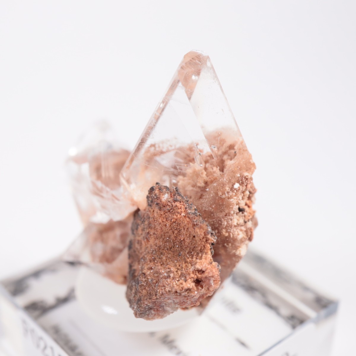 �ᥭ������ ����ʥ���