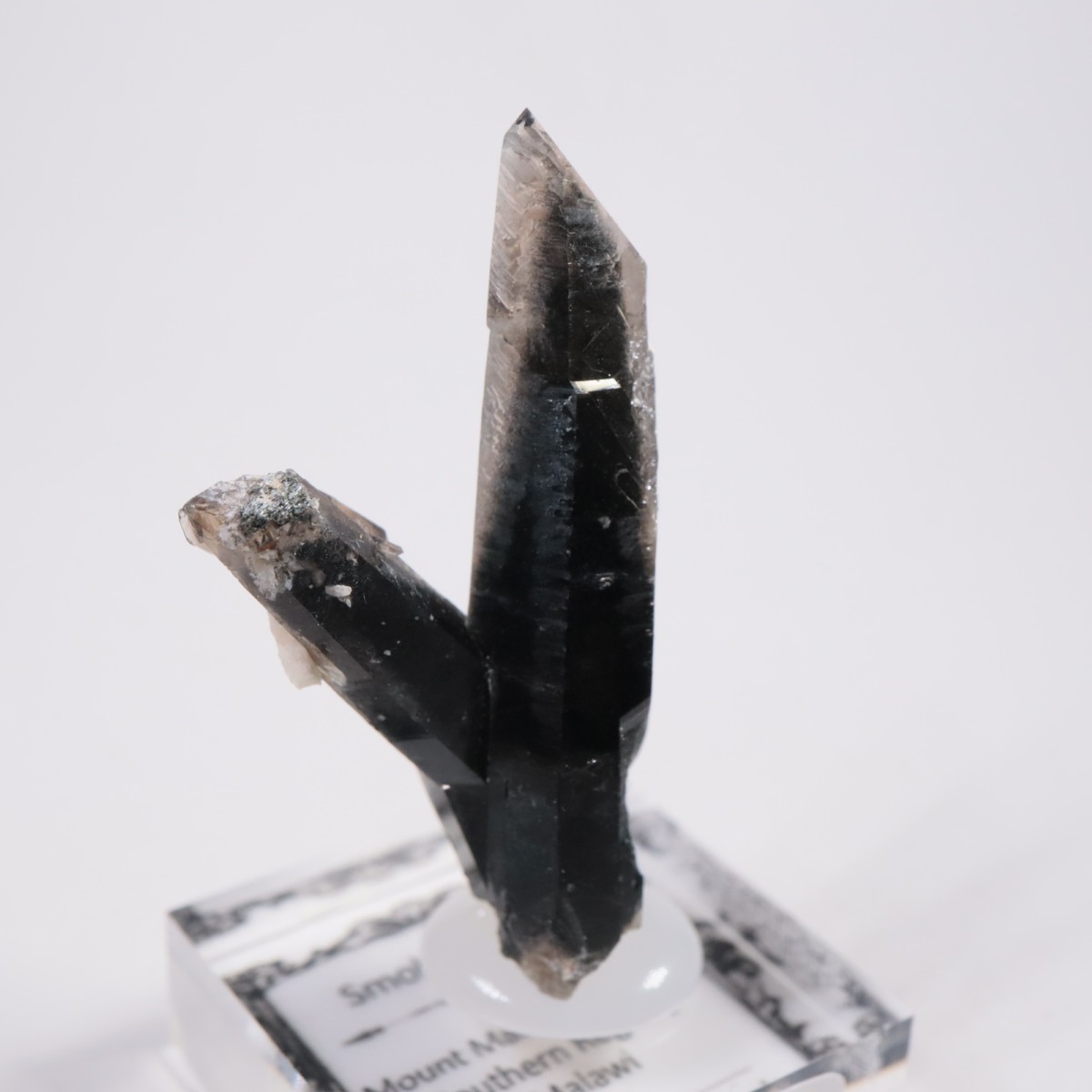 �ޥ饦���� ���⡼������������