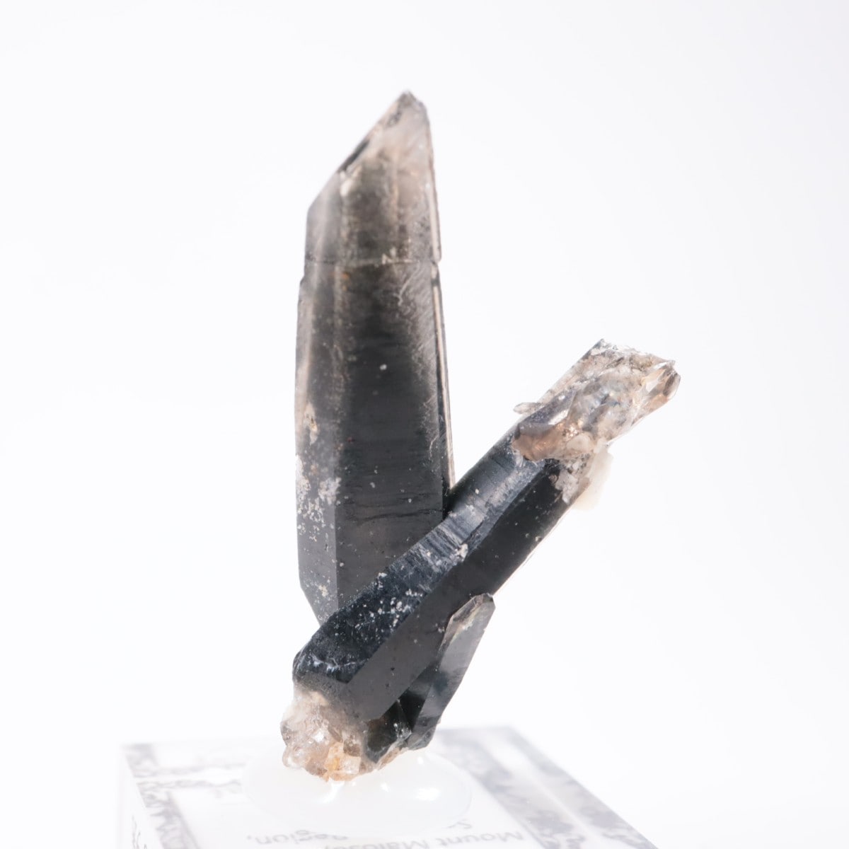 �ޥ饦���� ���⡼������������