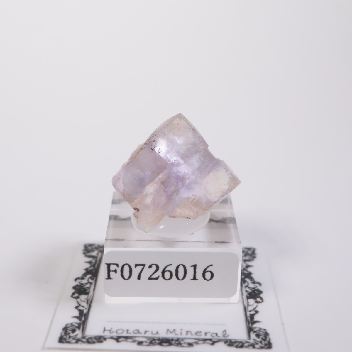 ���ڥ��� �ե����饤��