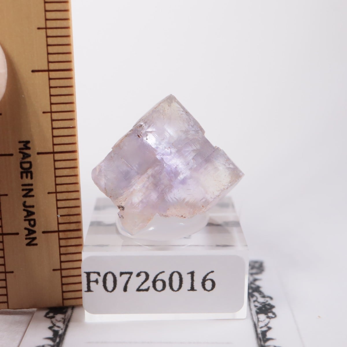 ���ڥ��� �ե����饤��