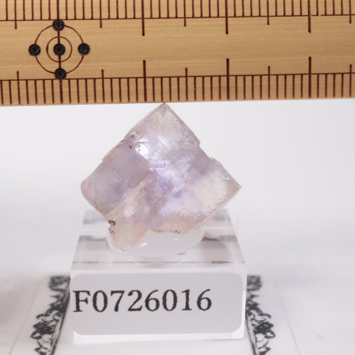 ���ڥ��� �ե����饤��