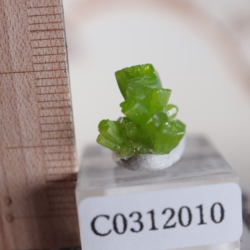 中国産 パイロモルファイト | 鉱物標本,ハ行,パイロモルファイト/緑鉛