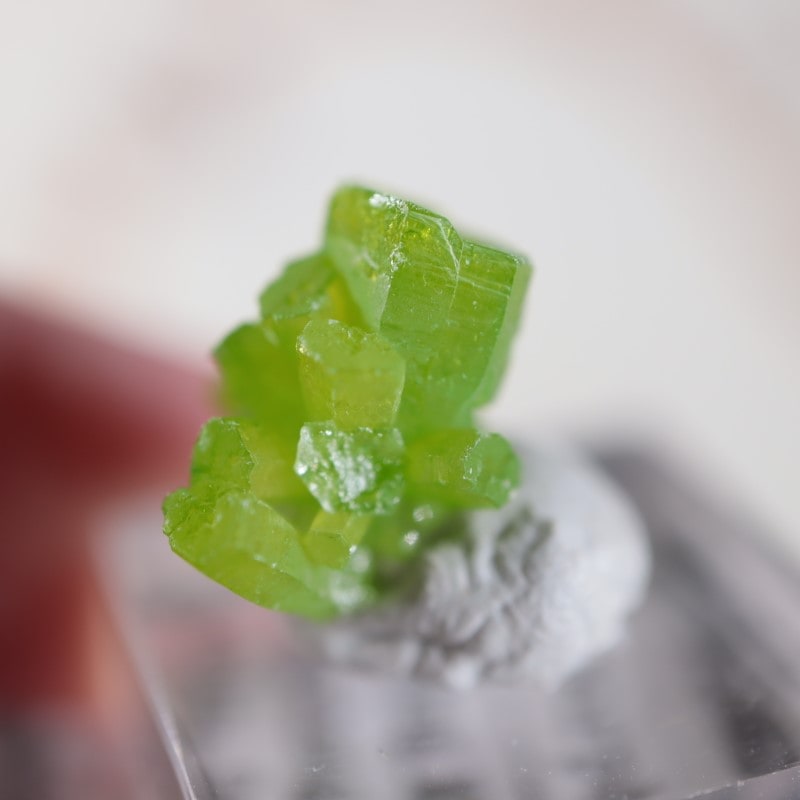 中国産 パイロモルファイト | 鉱物標本,ハ行,パイロモルファイト/緑鉛