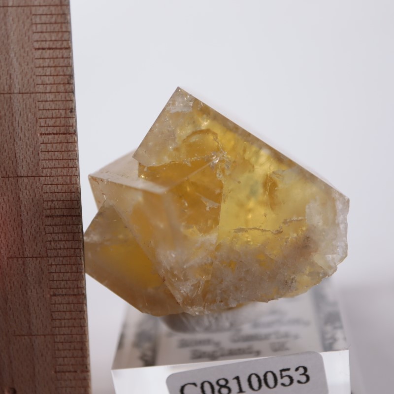 ヒルトン鉱山 フローライト | 鉱物標本,ハ行,フローライト/蛍石,フロー