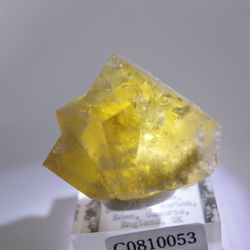 ヒルトン鉱山 フローライト | 鉱物標本,ハ行,フローライト/蛍石,フロー