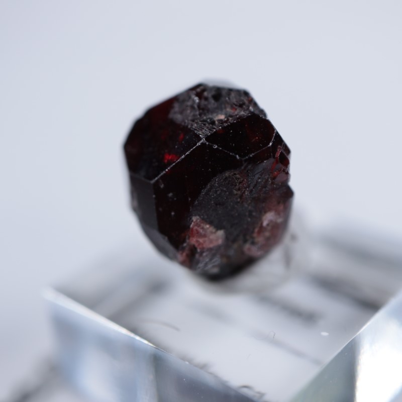 パキスタン産 ガーネット | 鉱物標本,カ行,ガーネットグループ/石榴石