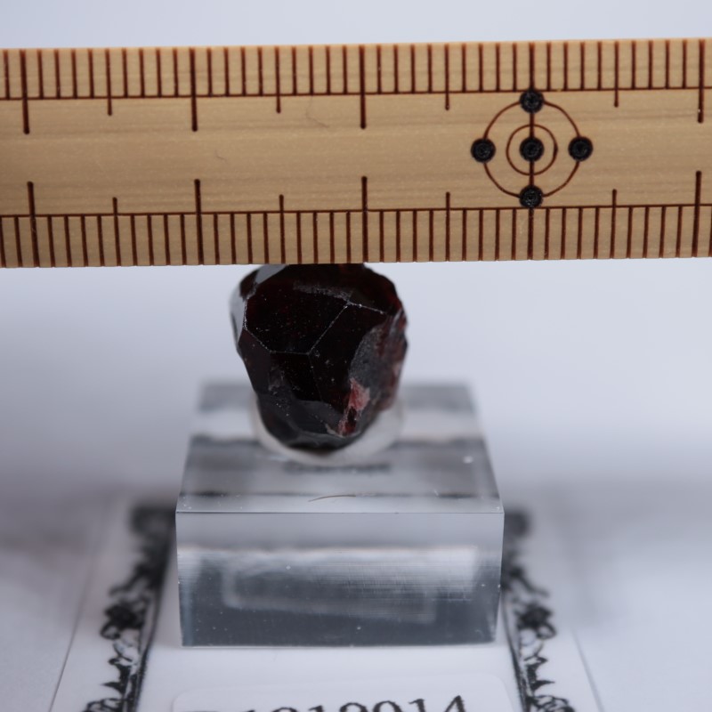 パキスタン産 ガーネット | 鉱物標本,カ行,ガーネットグループ/石榴石