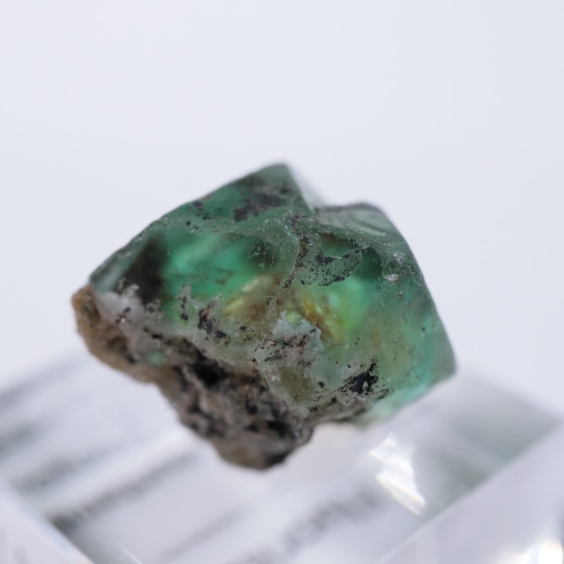 �����󥴹ۻ����ե����饤��