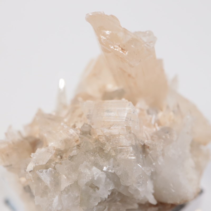 �����ꥢ�� ���쥹�ƥ���