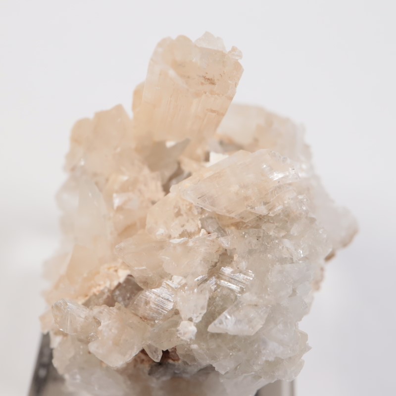 �����ꥢ�� ���쥹�ƥ���