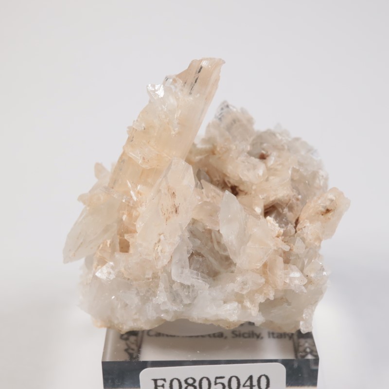 �����ꥢ�� ���쥹�ƥ���