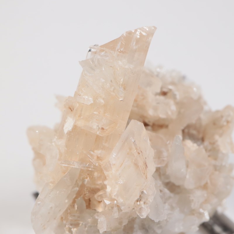 �����ꥢ�� ���쥹�ƥ���