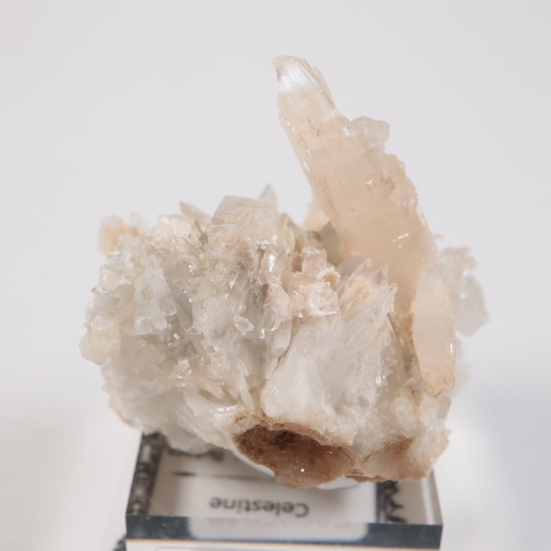 �����ꥢ�� ���쥹�ƥ���