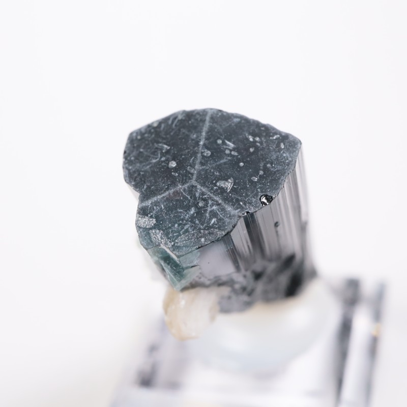 �ѥ������� �ȥ�ޥ��