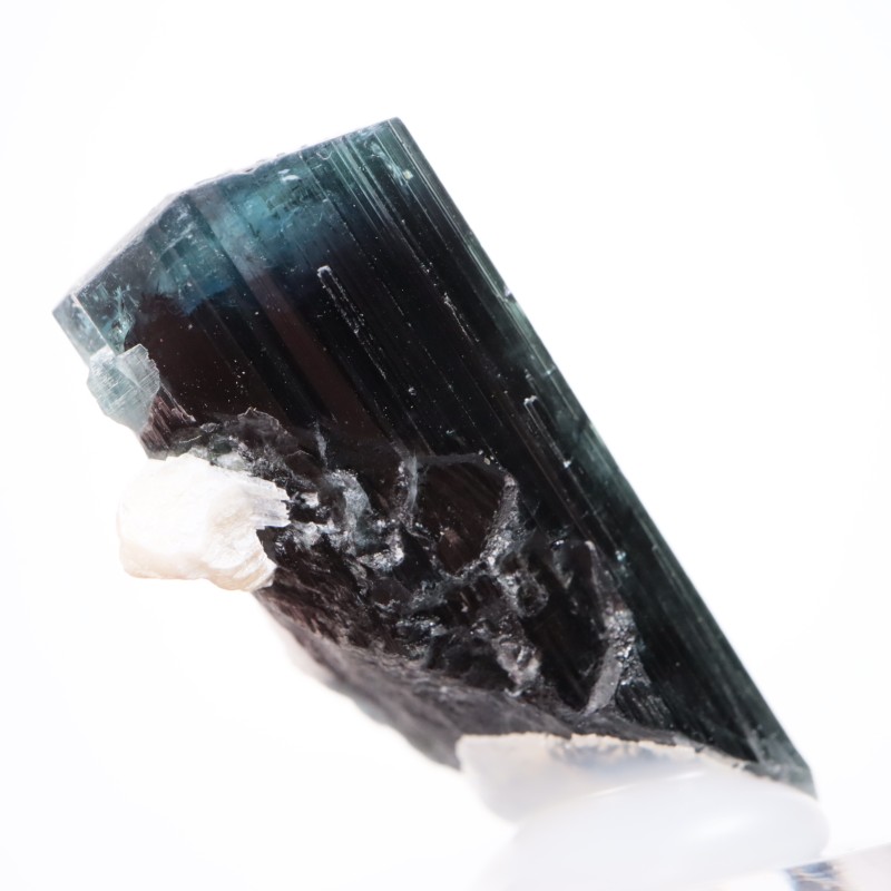 �ѥ������� �ȥ�ޥ��