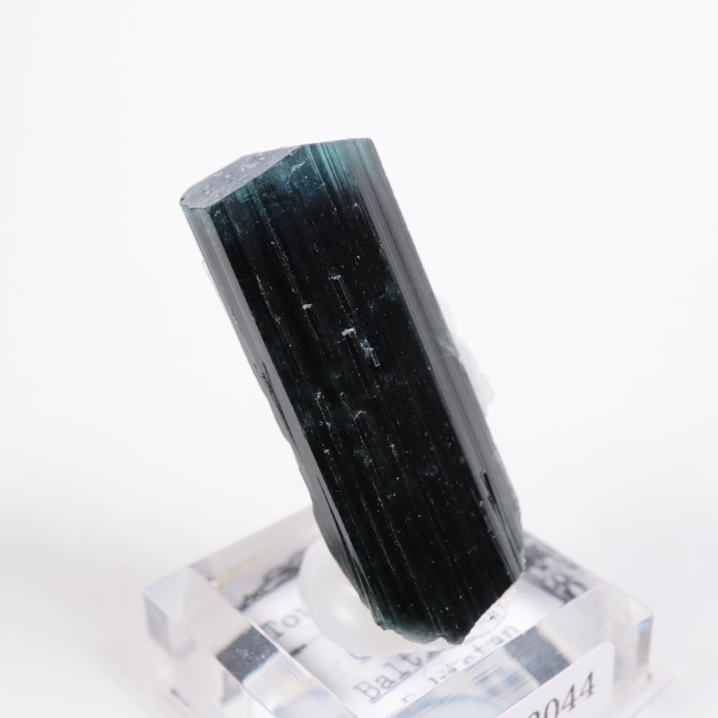 �ѥ������� �ȥ�ޥ��