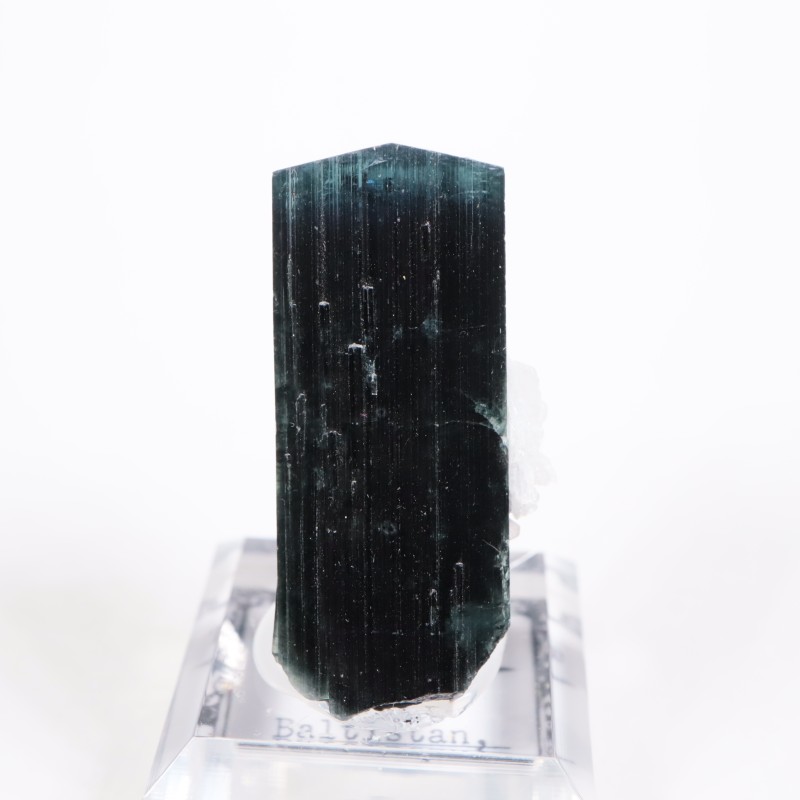 �ѥ������� �ȥ�ޥ��