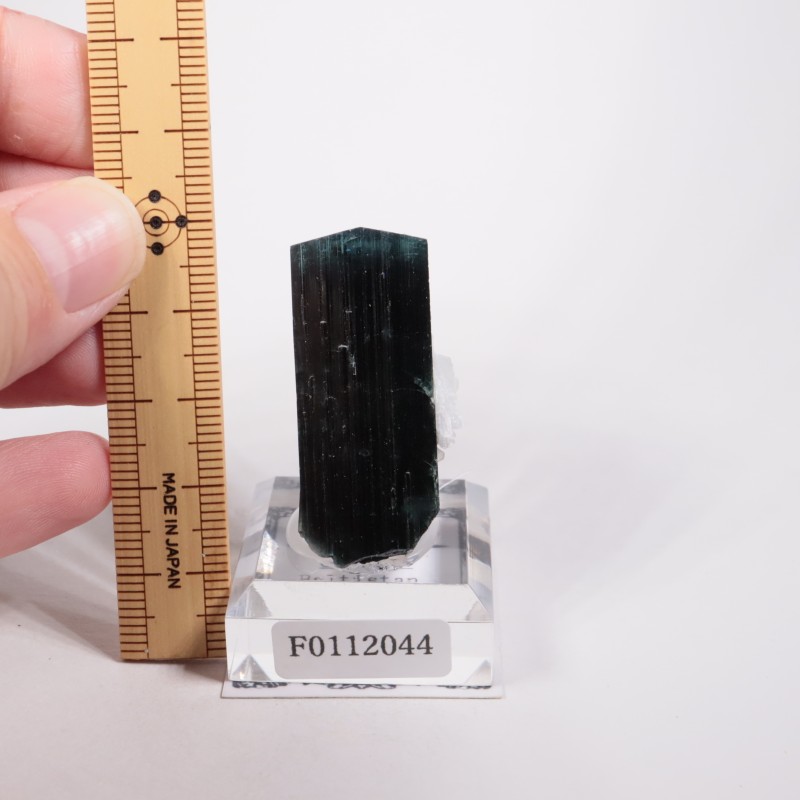 �ѥ������� �ȥ�ޥ��