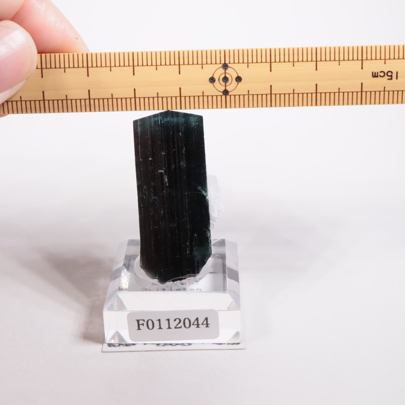 �ѥ������� �ȥ�ޥ��