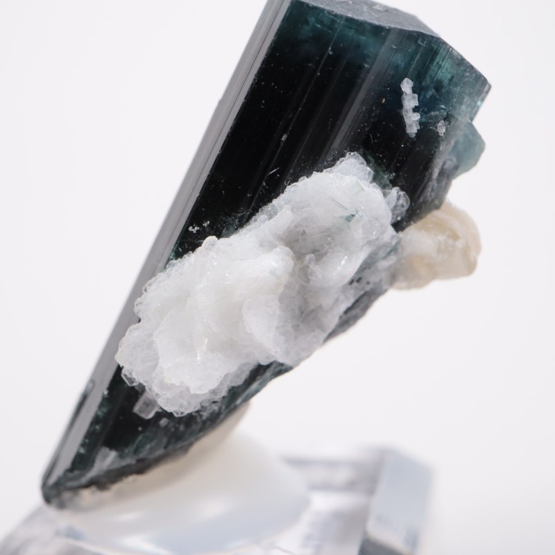 �ѥ������� �ȥ�ޥ��