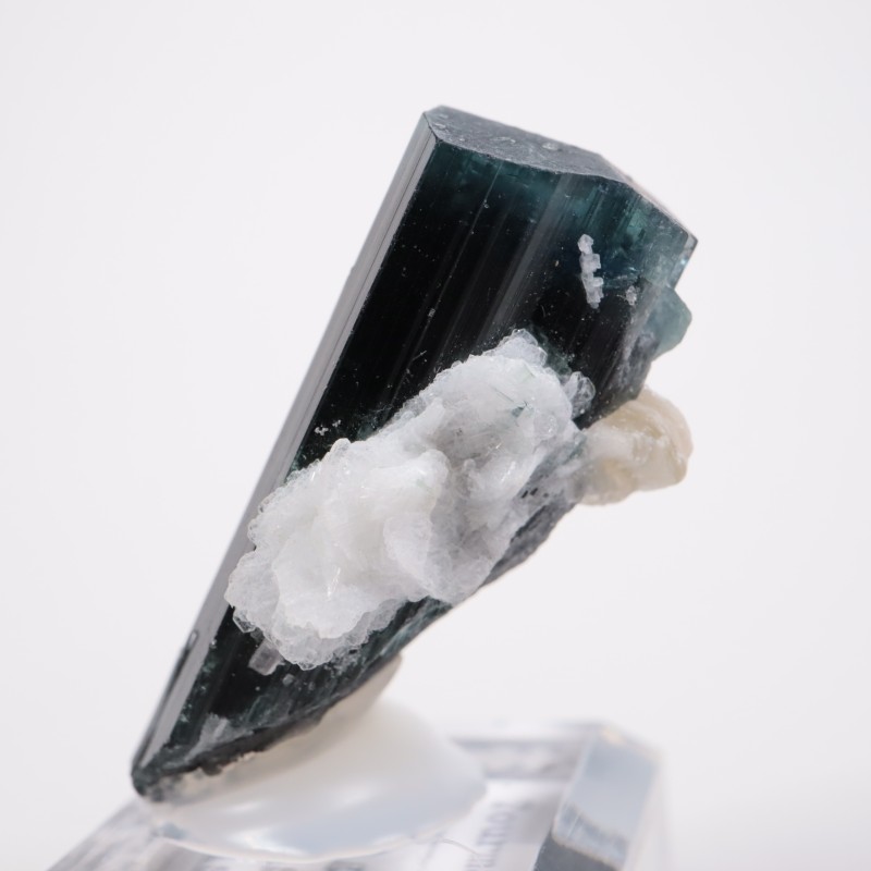 �ѥ������� �ȥ�ޥ��