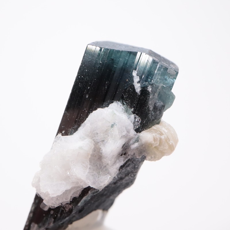 �ѥ������� �ȥ�ޥ��